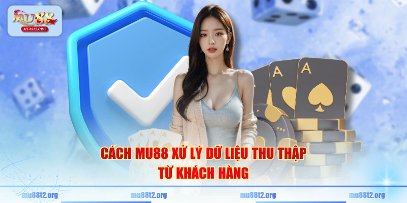 Cách MU88 xử lý dữ liệu thu thập từ khách hàng