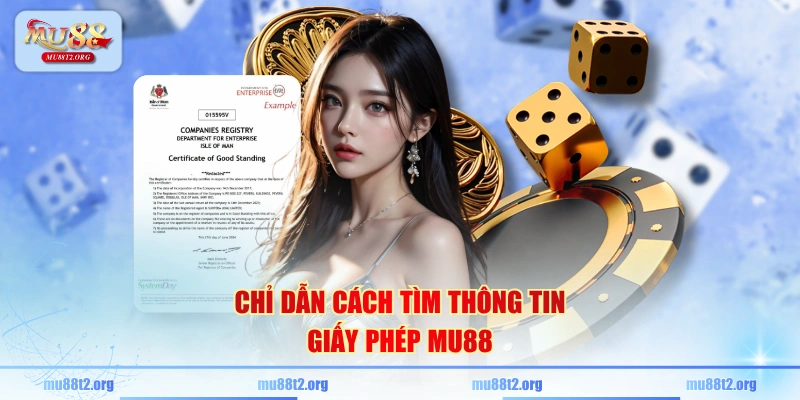 Chỉ dẫn cách tìm thông tin giấy phép MU88