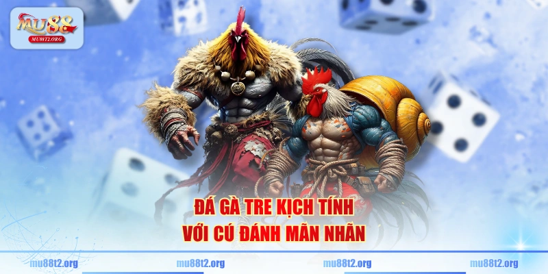 Đá gà tre kịch tính với cú đánh mãn nhãn