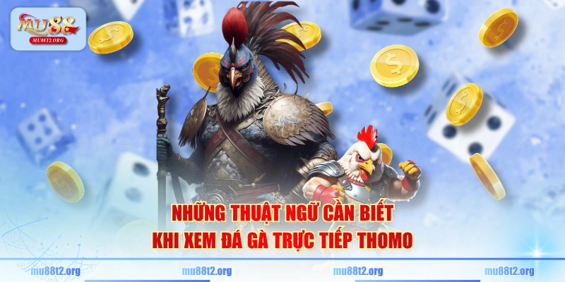 Những thuật ngữ cần biết khi xem đá gà trực tiếp Thomo